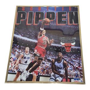 Vintage Scottie Pippen Chicago Bulls 1993 Starline Framed Poster 20" x 16"